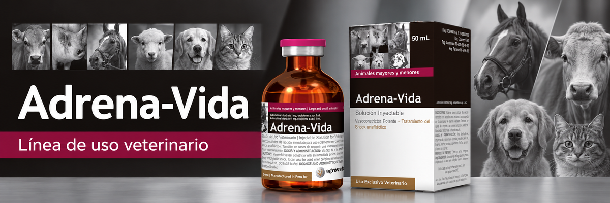 Adrena-Vida — cabecera de marca seleccionada