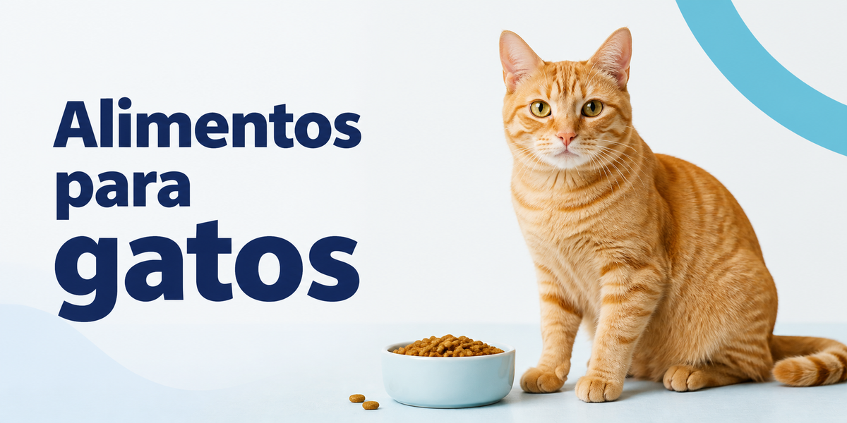 Alimentos para gatos