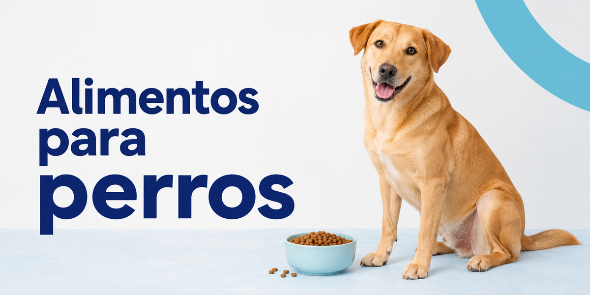Alimentos para perros