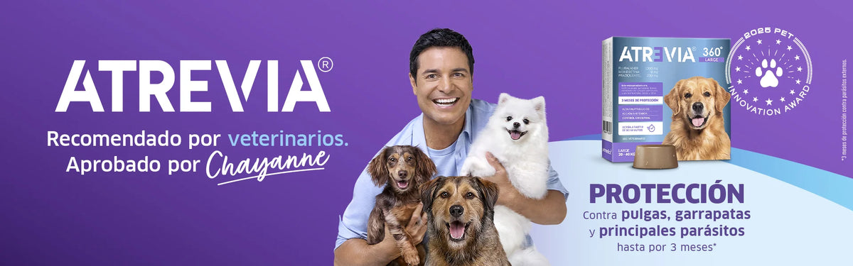 Atrevia — cabecera de marca seleccionada