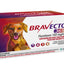 Bravecto 365 — envase oficial MSD, fondo blanco