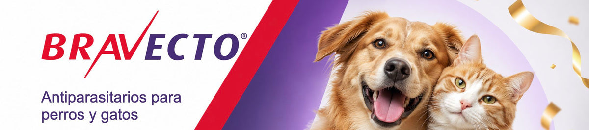 Bravecto — banner de cabecera aprobado