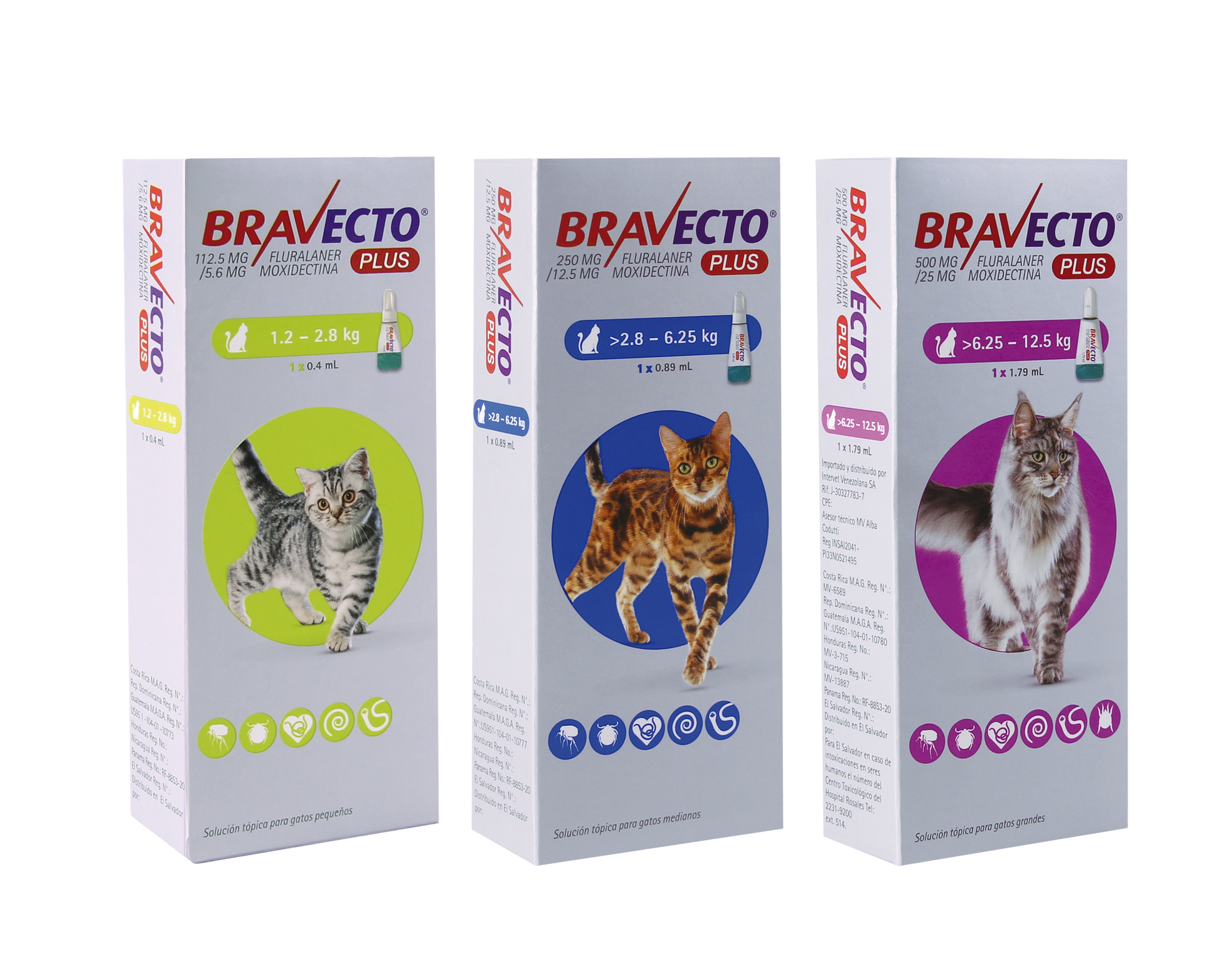 Bravecto Plus para gatos — tres presentaciones oficiales por peso