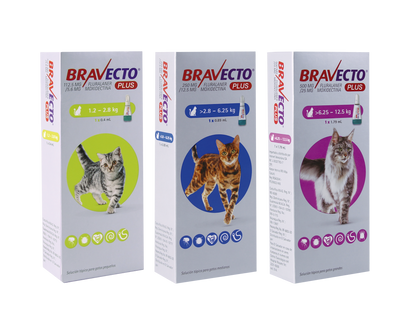 Bravecto Plus para gatos — tres presentaciones oficiales por peso
