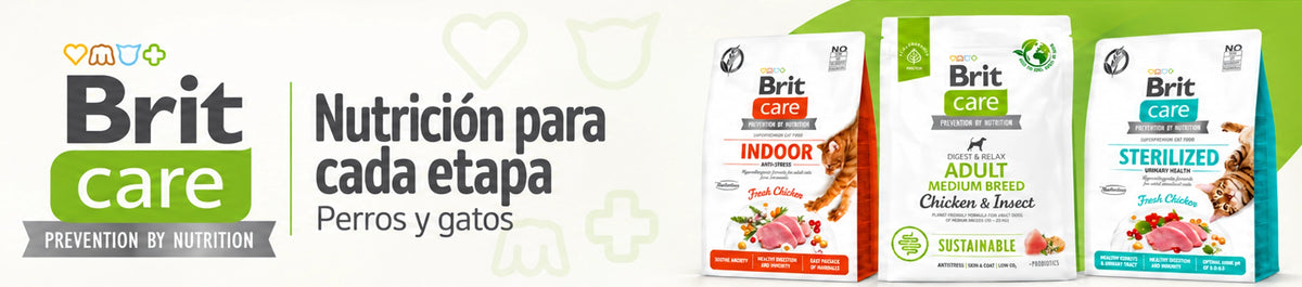 Brit Care — cabecera web