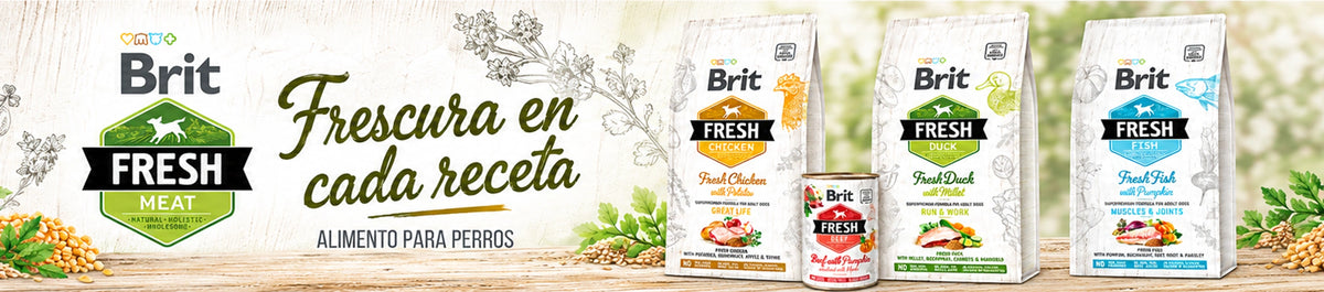 Brit Fresh — cabecera web