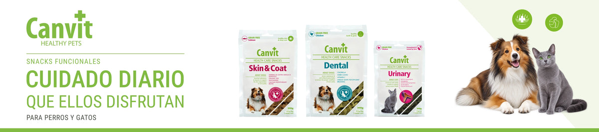 Canvit — cabecera web