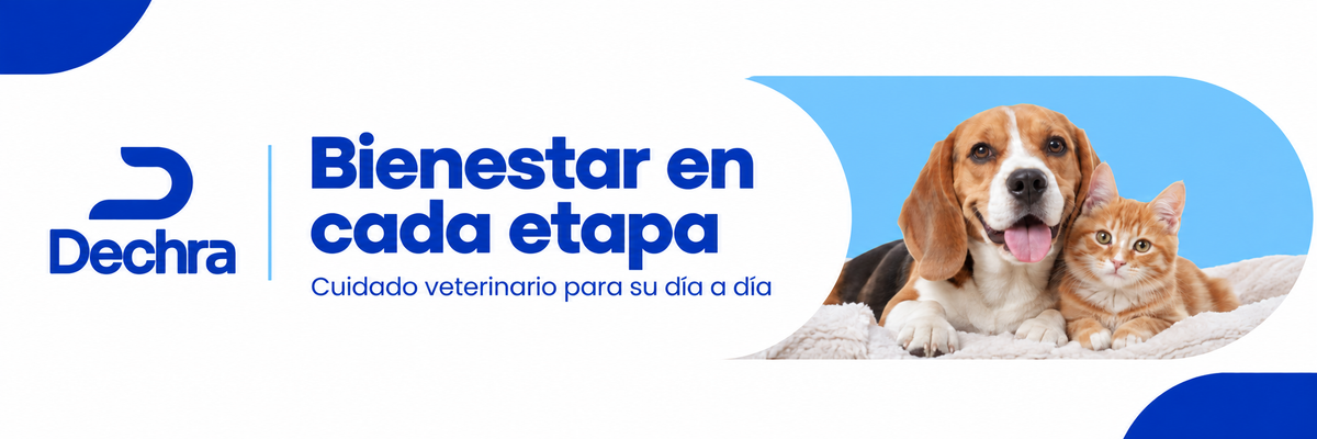 Dechra — Bienestar en cada etapa. Cuidado veterinario para su día a día.