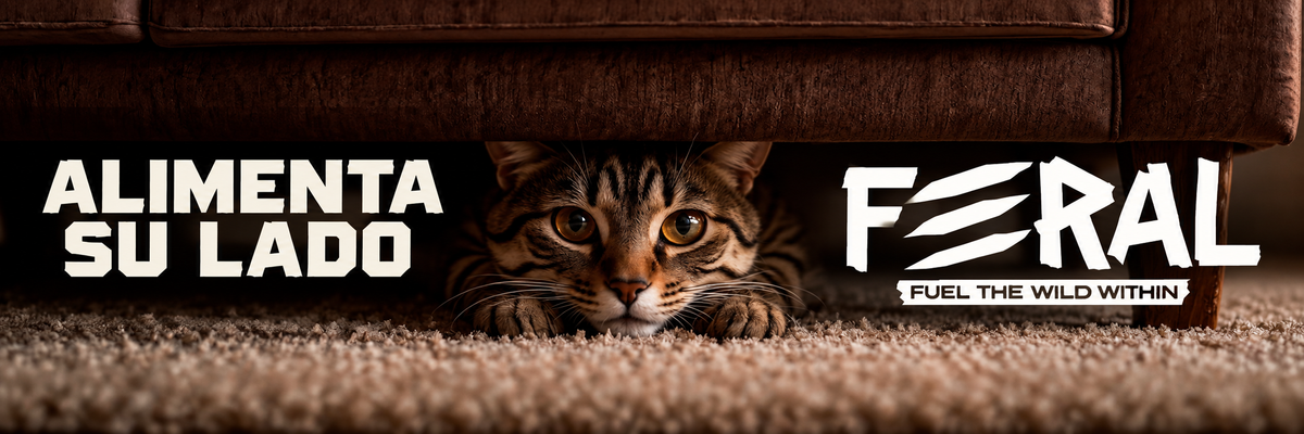 Feral — Alimenta su lado Feral.