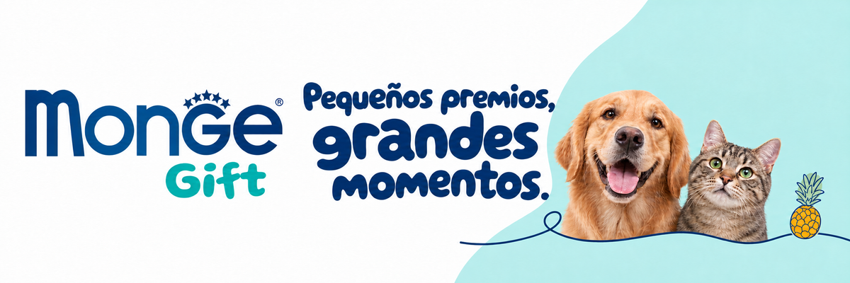 Monge Gift — Pequeños premios, grandes momentos.
