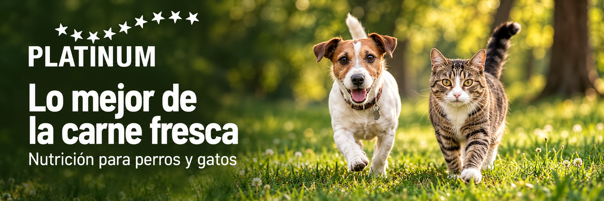 Platinum. Lo mejor de la carne fresca. Nutrición para perros y gatos.