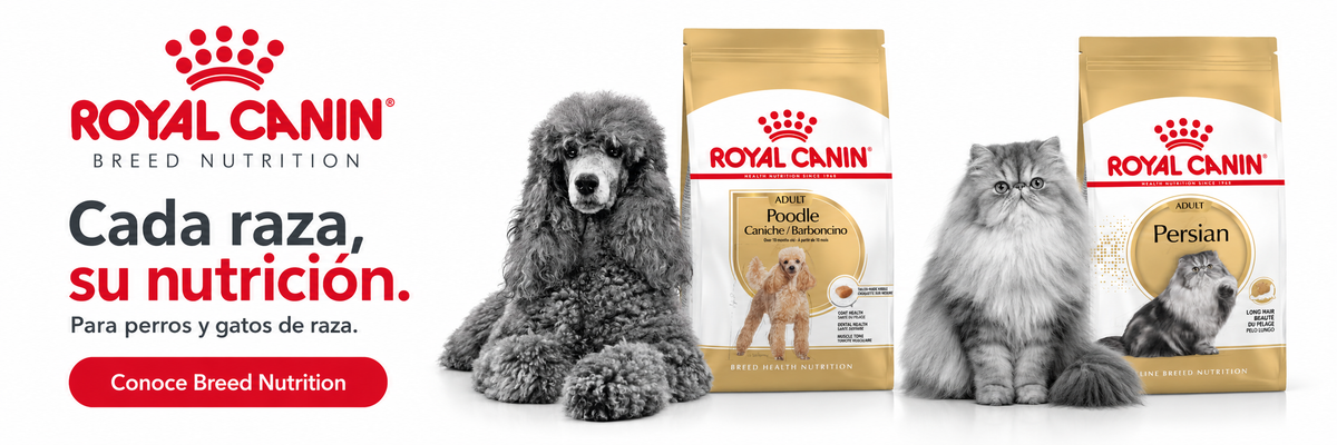 Royal Canin Breed Nutrition: cada raza, su nutrición. Alimentos para perros y gatos de raza.