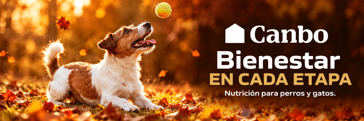 Canbo: bienestar en cada etapa. Nutrición para perros y gatos.