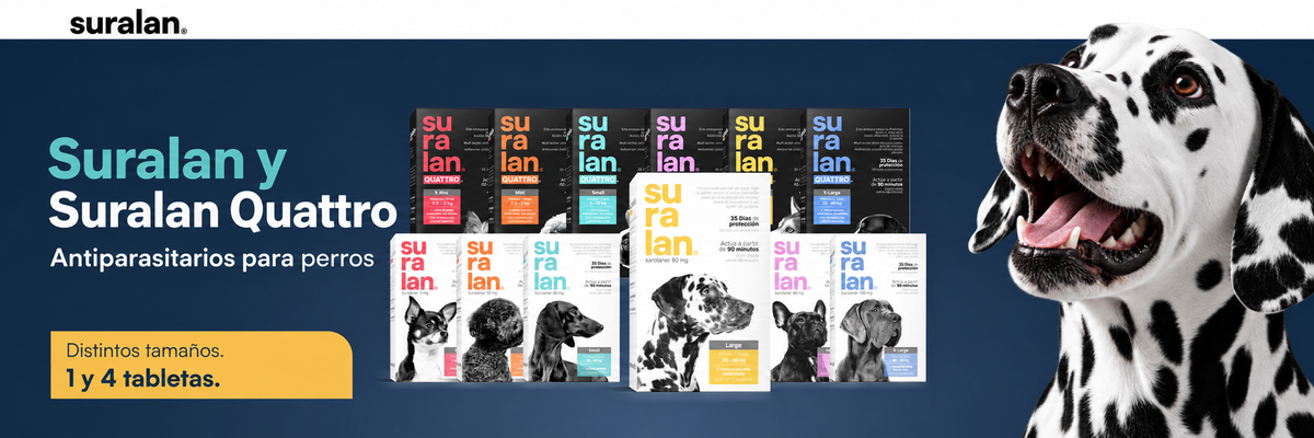 Suralan y Suralan Quattro. Antiparasitarios para perros. Distintos tamaños, 1 y 4 tabletas.