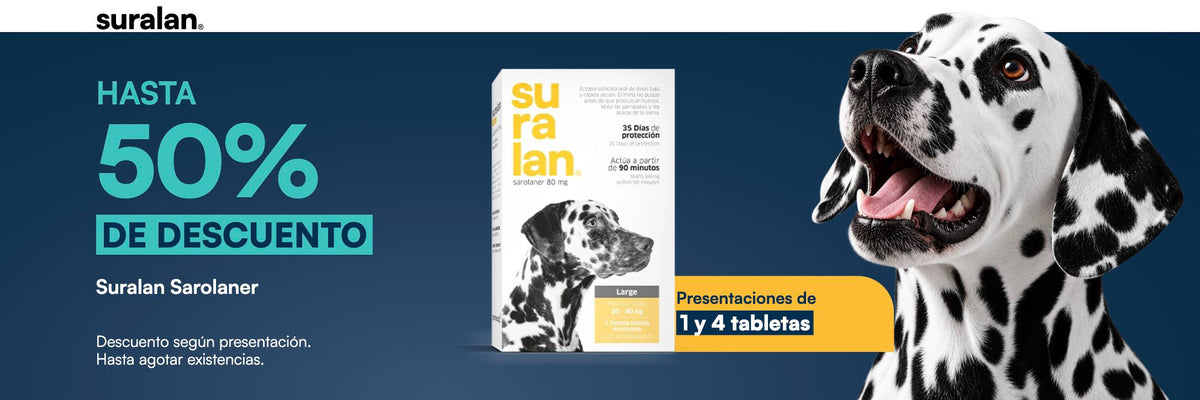 Suralan — campaña del slider principal aprobado