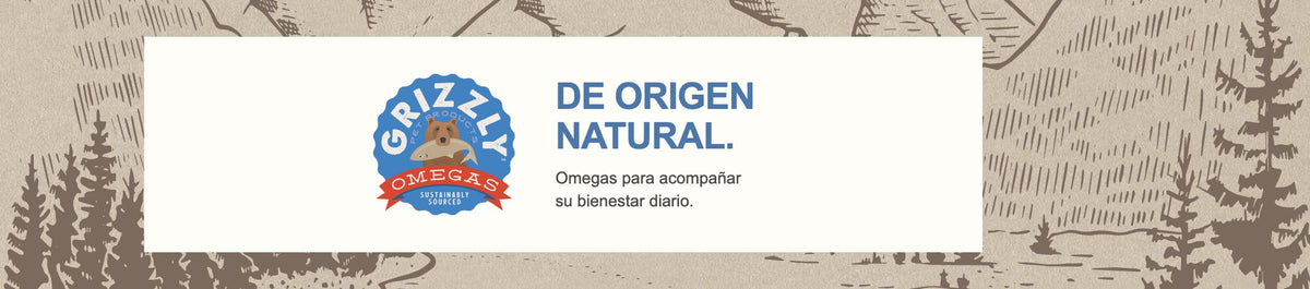 Cabecera de marca grizzly desktop — propuesta elegida para Pet Pro