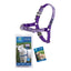 Petsafe | Bling Easy Walk arnés morado con empaque y guía