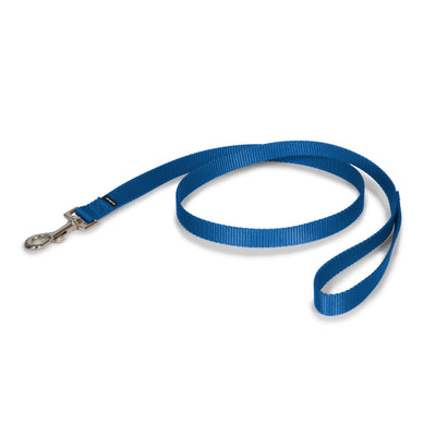PetSafe Correa de nylon azul 1.9 cm x 1.2 m · producto