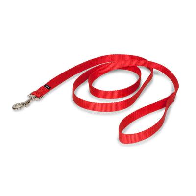 PetSafe Correa de nylon roja 1.9 cm x 1.8 m · producto