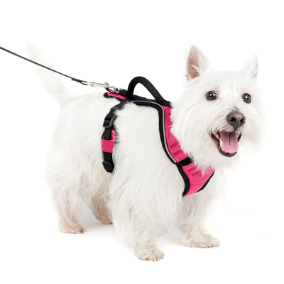 PetSafe EasySport arnés acolchado rosado · talla S puesto en un perro
