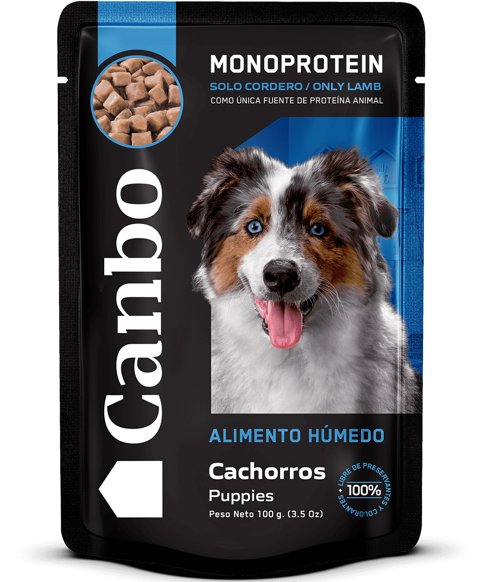 Canbo | DOG TROC CORDERO CACH