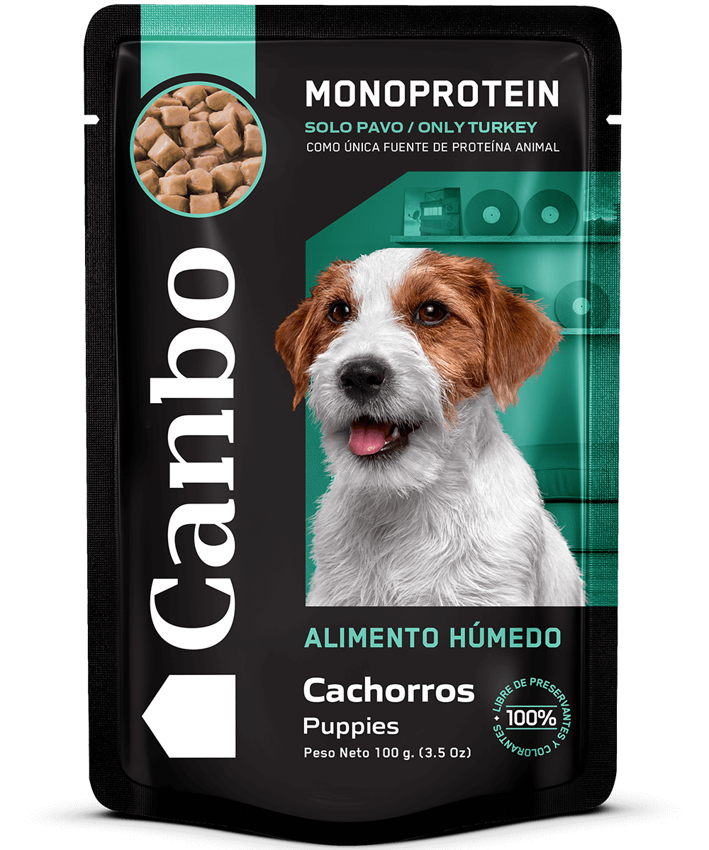 Canbo | DOG TROC PAVO CACH