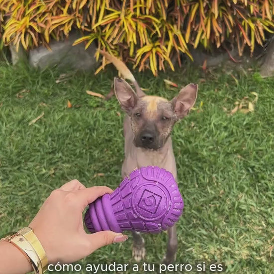 Gigwi Bulb: rellena, juega y entretiene. Vídeo oficial en español del distribuidor Ludipek.