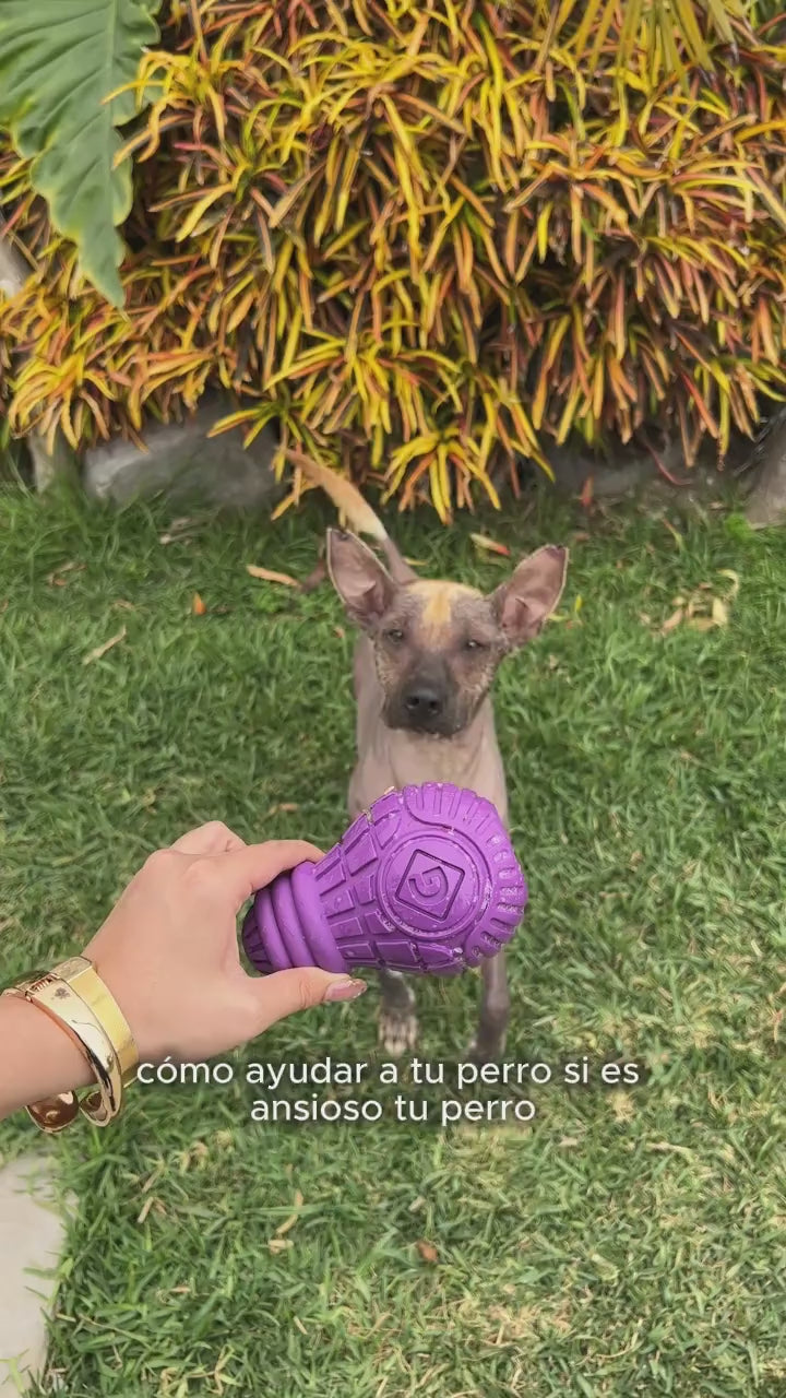 Gigwi Bulb: rellena, juega y entretiene. Vídeo oficial en español del distribuidor Ludipek.