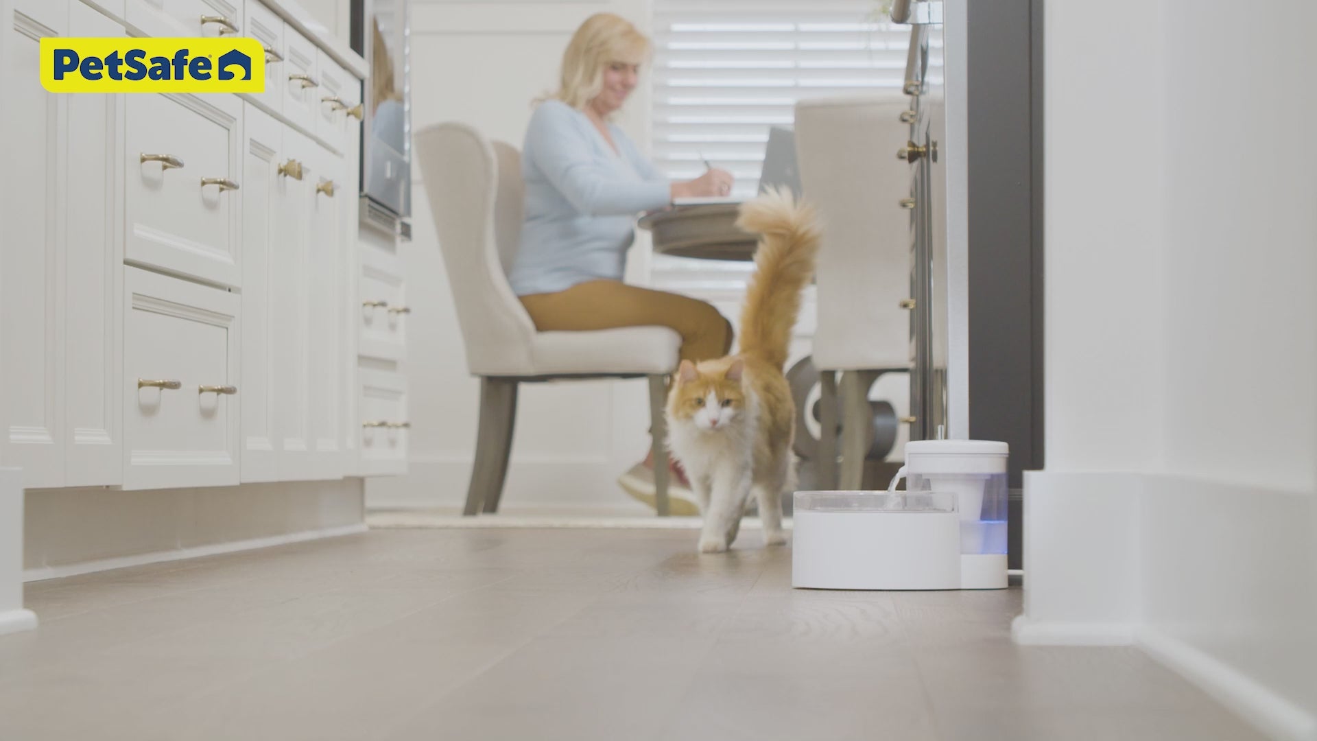 Meet the New Pumpless PetSafe® Outlast™ Pet Fountain