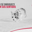 Royal Canin: nutrición para las etapas y necesidades del gato: vídeo oficial con información en español.