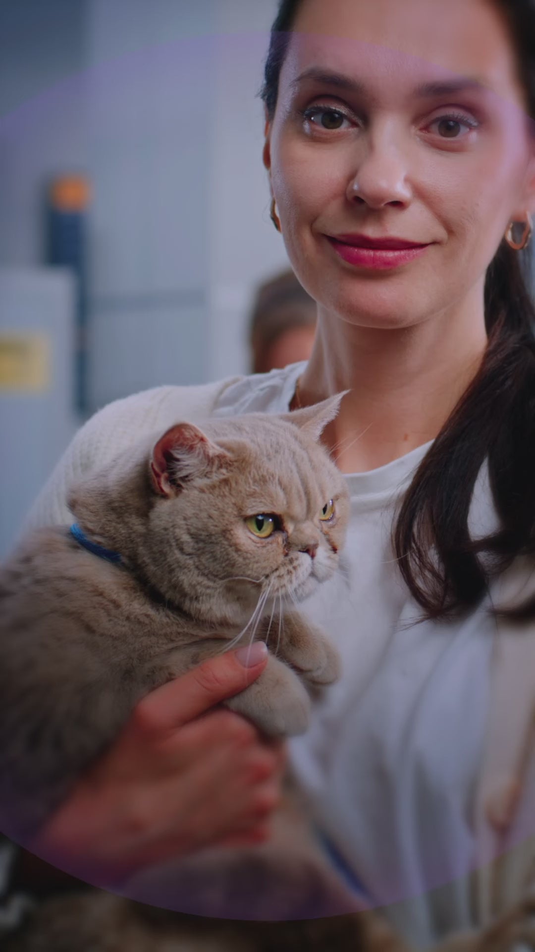 Bravecto Plus: prevención de parásitos en gatos