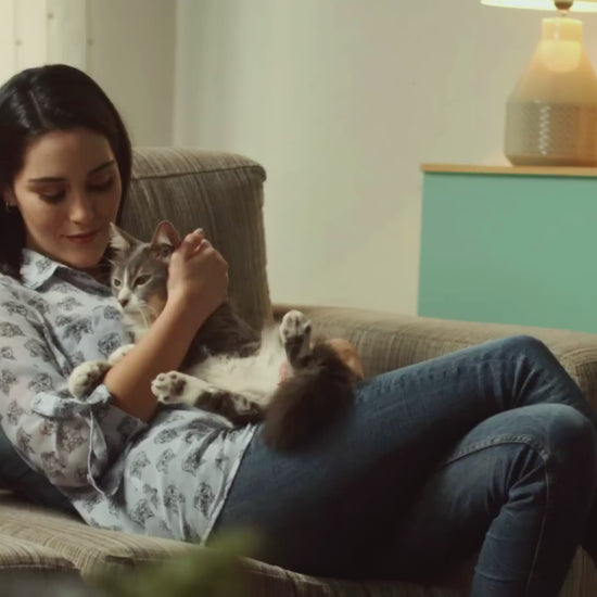 Ricocat Festival de Sabores para gatos adultos: vídeo oficial en español.