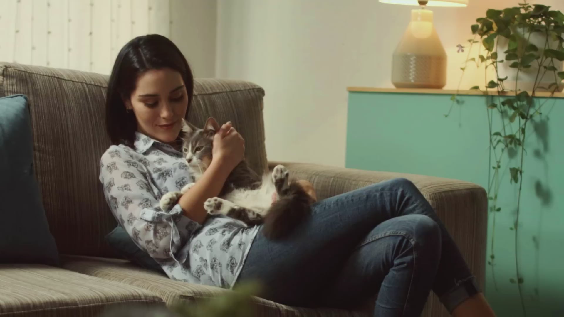 Ricocat Festival de Sabores para gatos adultos: vídeo oficial en español.