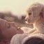 Esbilac® Puppy Milk Replacer Liquid