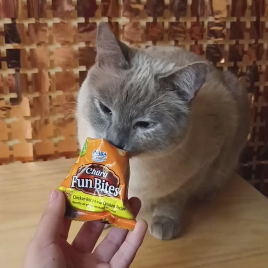 Churu Fun Bites para gatos sabor pollo: envase amarillo y demostración del premio ofrecido a un gato.