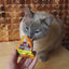 Churu Fun Bites para gatos sabor pollo: envase amarillo y demostración del premio ofrecido a un gato.