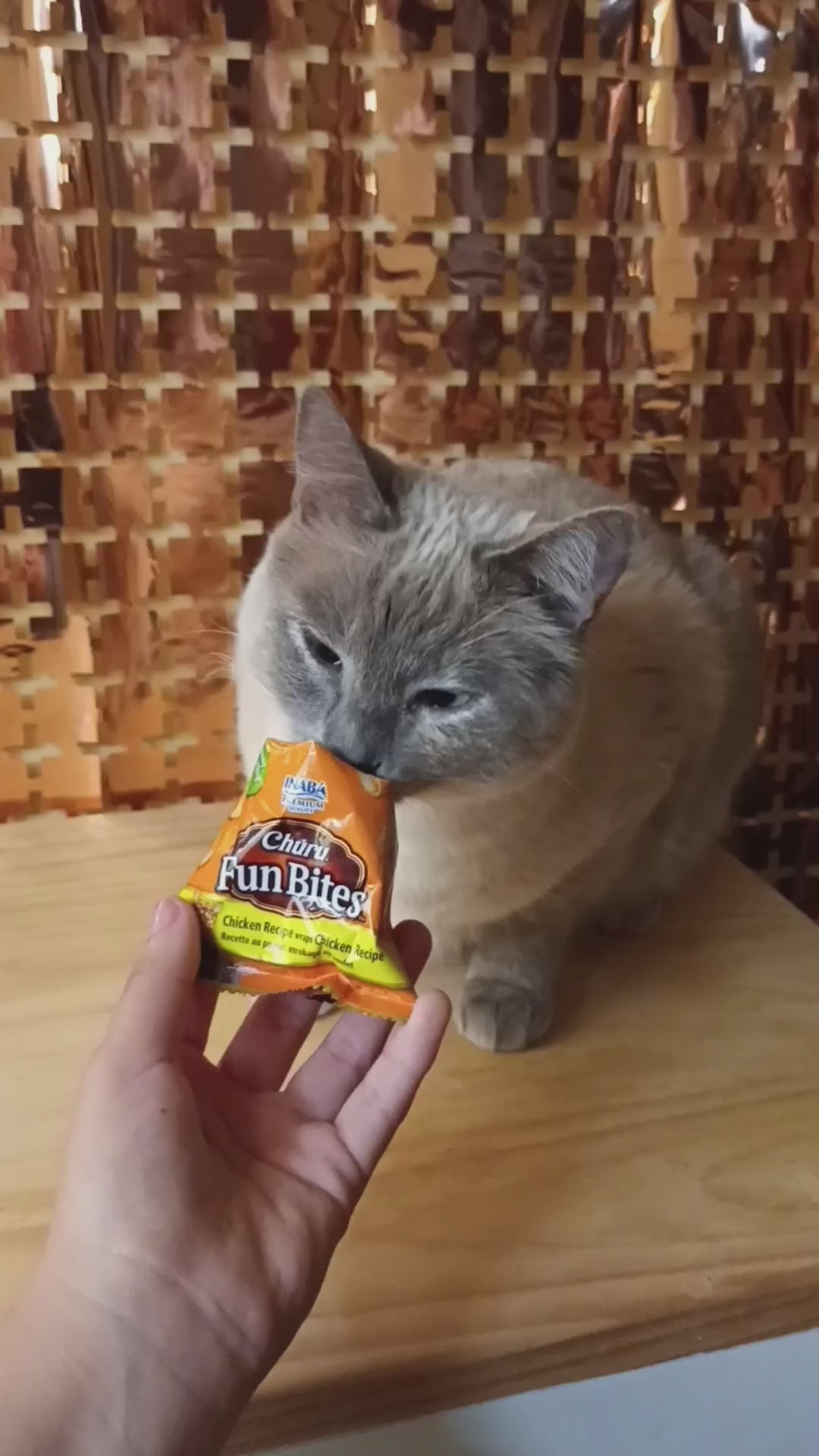 Churu Fun Bites para gatos sabor pollo: envase amarillo y demostración del premio ofrecido a un gato.
