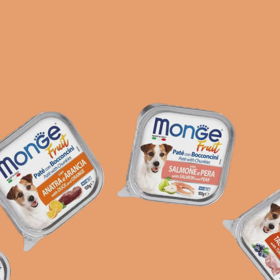 Monge Fruit: variedad de recetas para perros: vídeo oficial con información en español.