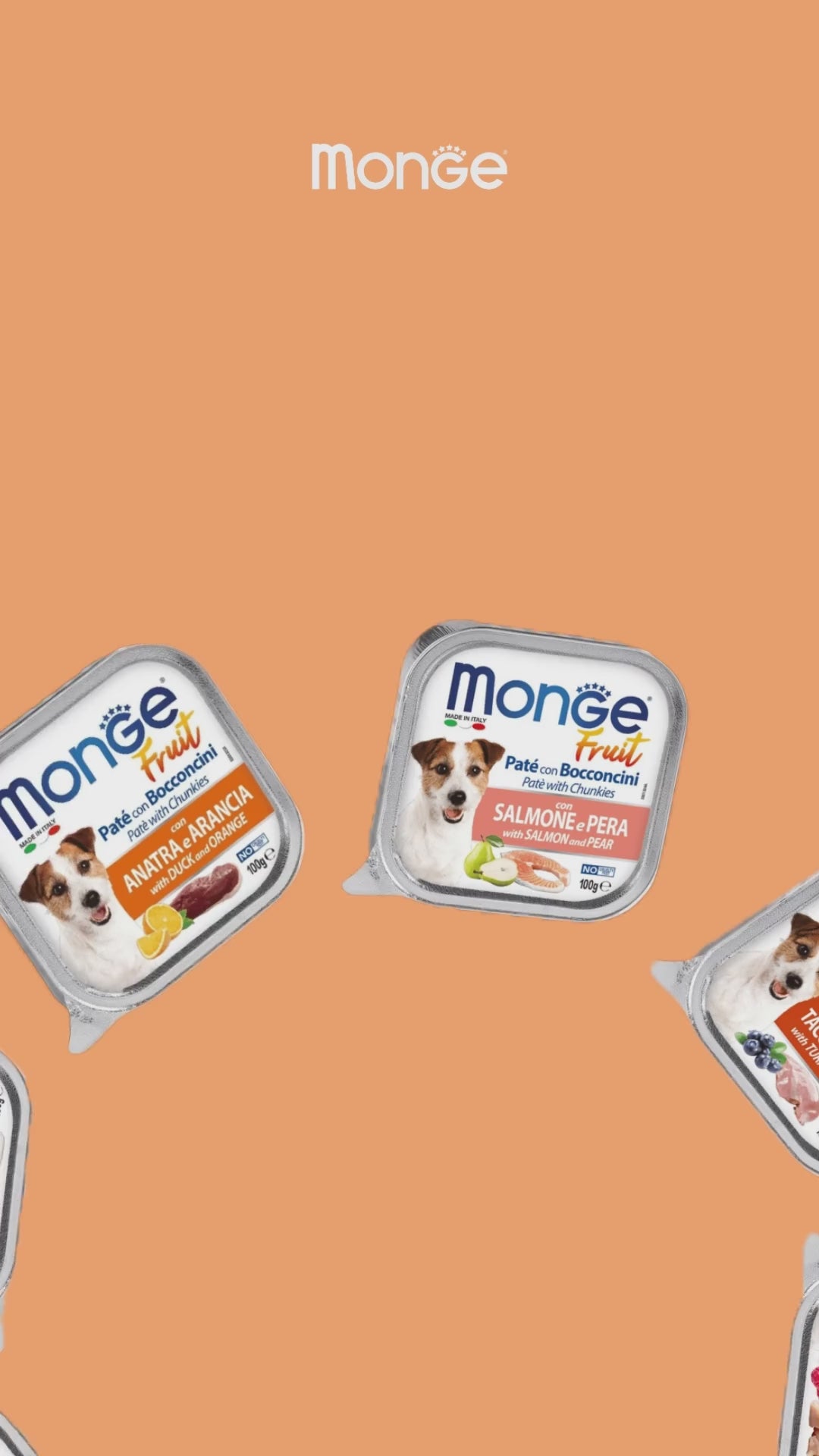 Monge Fruit: variedad de recetas para perros: vídeo oficial con información en español.