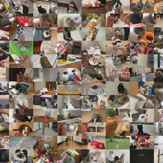 Vídeo oficial de la familia Churu para gatos, con canción y subtítulos en español, mostrando el premio cremoso en tubo.