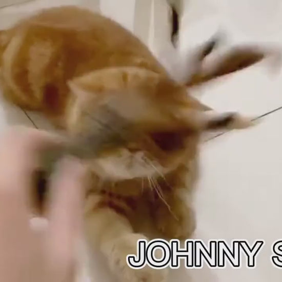 GiGwi Johnny Stick con catnip: video en español