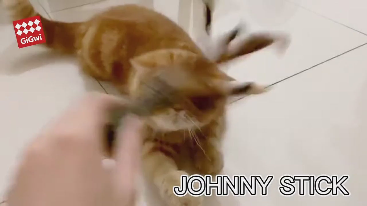 GiGwi Johnny Stick con catnip: video en español