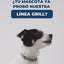 Monge Grill: seis recetas para perros: vídeo oficial con información en español.