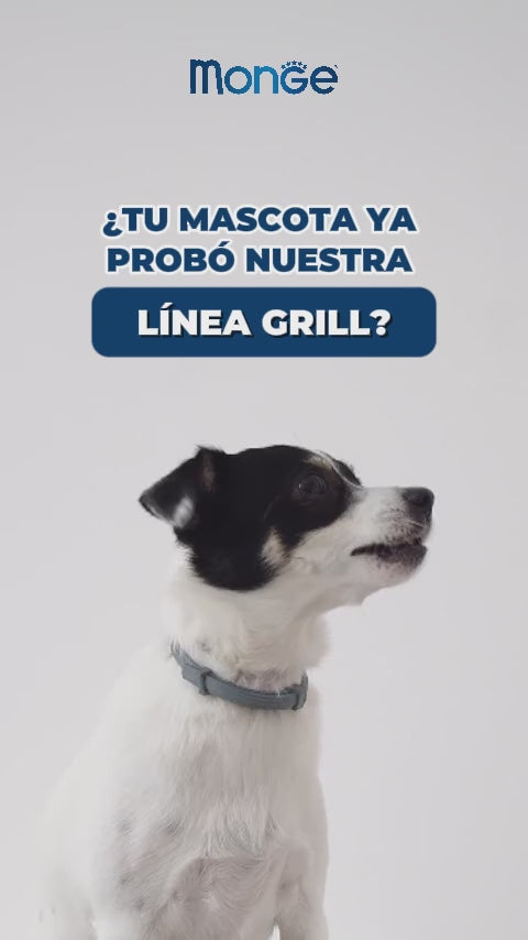 Monge Grill: seis recetas para perros: vídeo oficial con información en español.