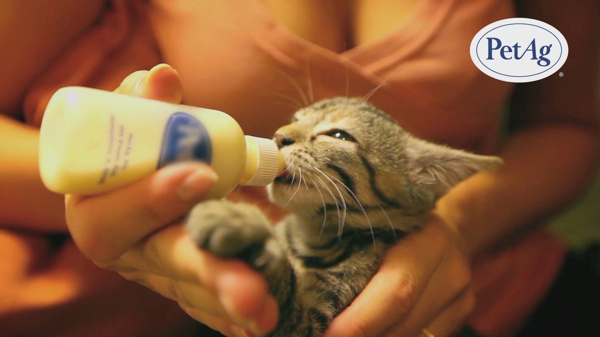 KMR® Kitten Milk Replacer Liquid | KMR® Kitten Milk Replacer Powder