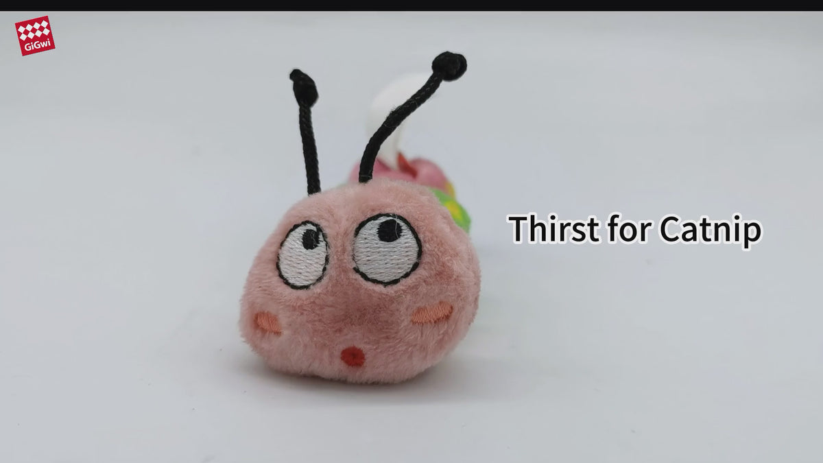 GiGwi oruga con catnip: video oficial del producto