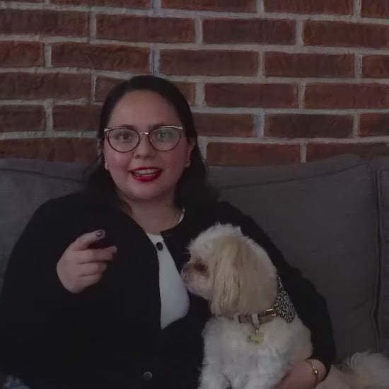 Hill’s Small & Mini: nutrición para perros pequeños: vídeo oficial con información en español.