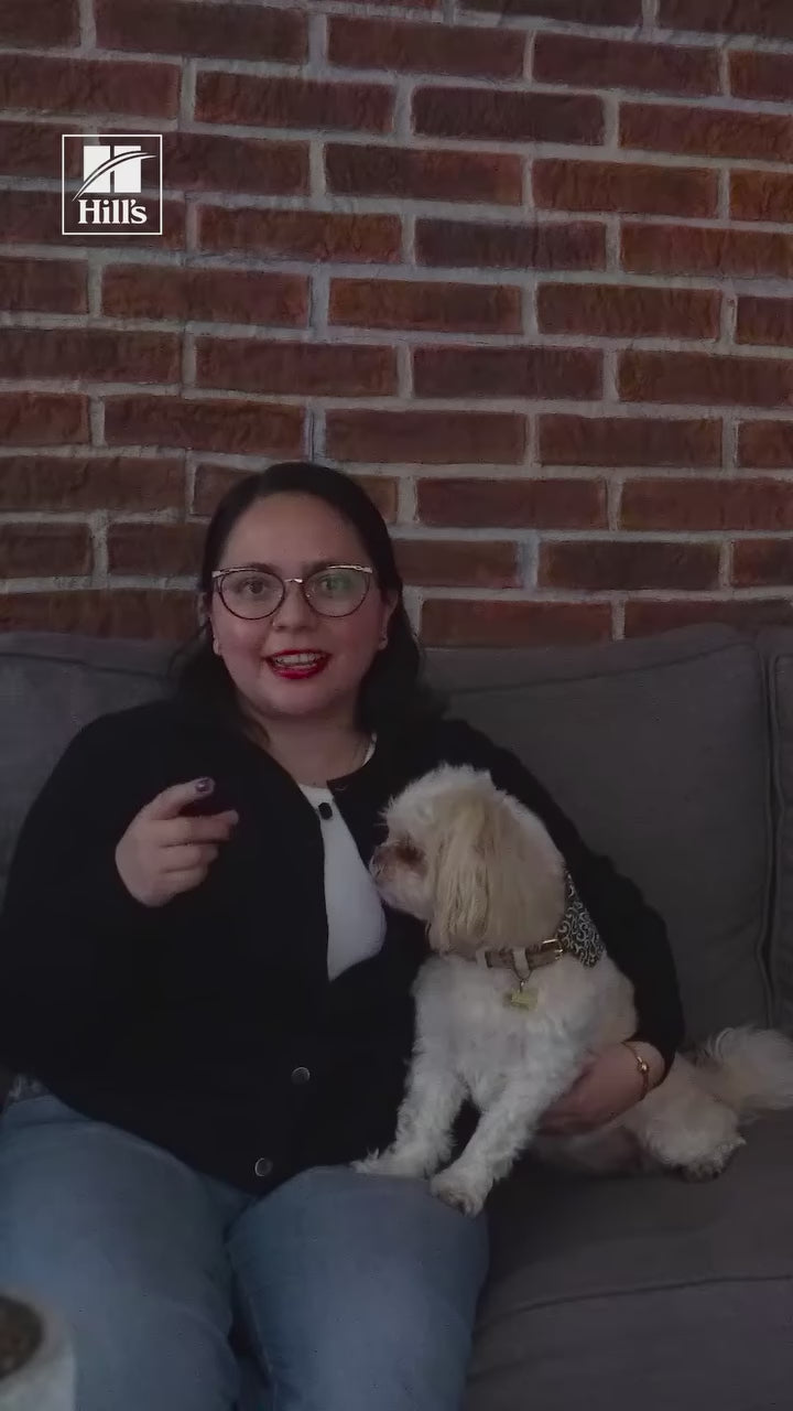 Hill’s Small & Mini: nutrición para perros pequeños: vídeo oficial con información en español.