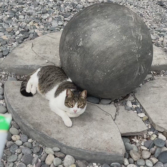 Inaba Churu INABA Churu | Premio cremoso para gatos sabor atún con pollo — vídeo del producto proporcionado por Ludipek