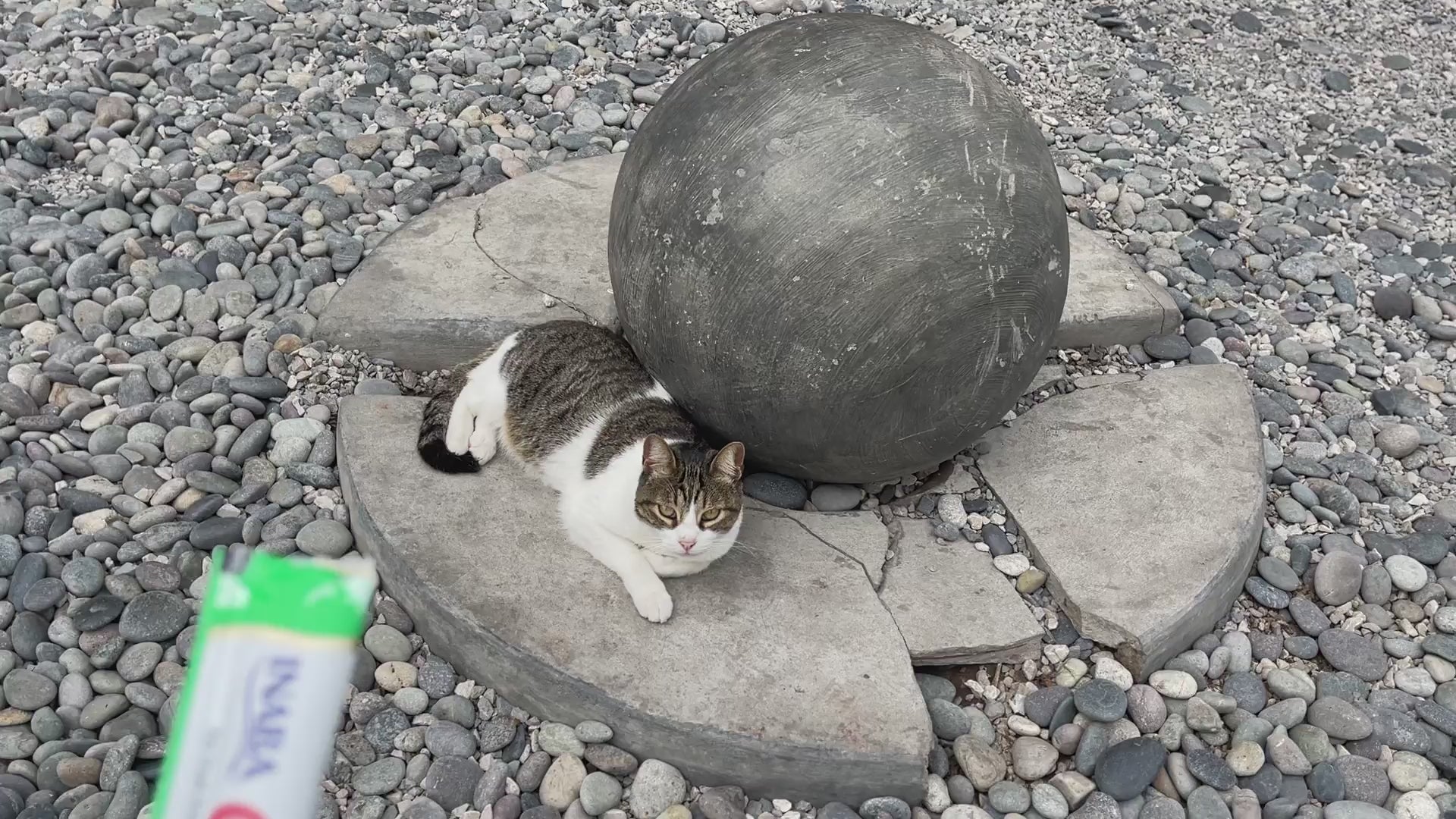 Inaba Churu INABA Churu | Premio cremoso para gatos sabor atún con pollo — vídeo del producto proporcionado por Ludipek